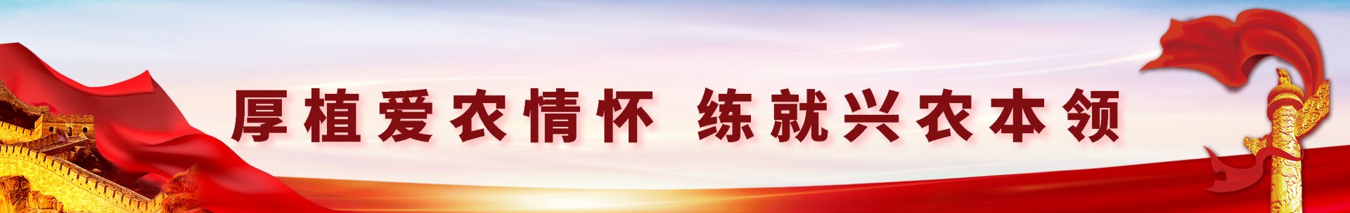 如某条暂不可用